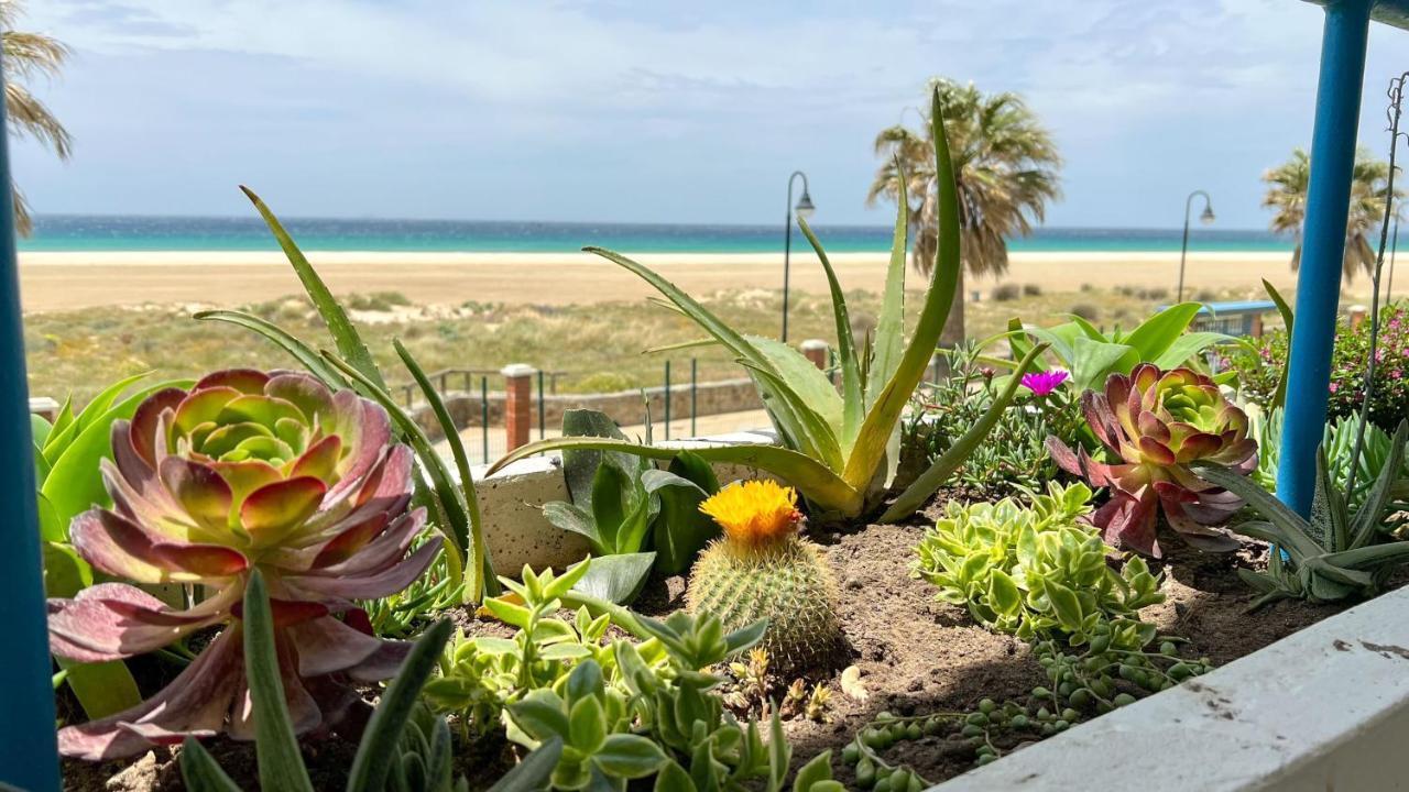 Tarifa Cozy House - Beachfront, Stylish Deco Eksteriør billede